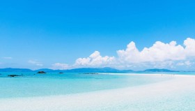 拉什福德欧冠关键助攻助曼联，新星成全球足球焦点